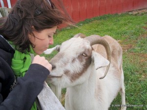 KD and DiMaggio the Goat = LOVE