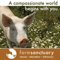 Farm Sanctuary