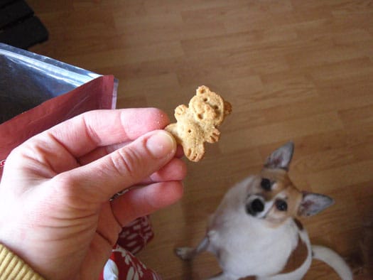 Grandma Lucy's Dog Treats