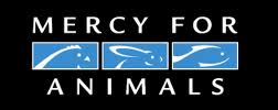 Mercy For Animals