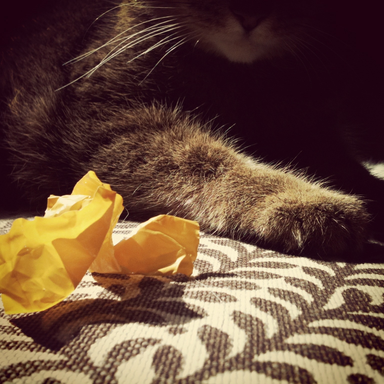 20120509-181635.jpg