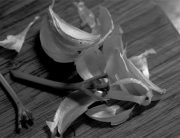 Vegan Detritus: Stems
