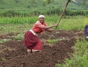 Woman Farmer in Uganda