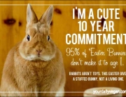 EasterBunnyInfo