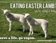 EasterLamb
