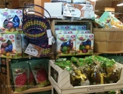 ecoeaster