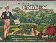 Uncle Sam