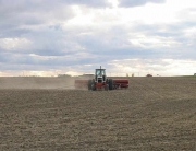 hemp seeding