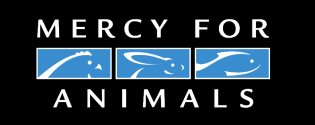 MFA Logo