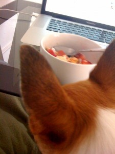 Joee loves fruit
