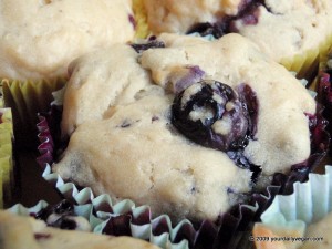 Blueberry Muffins
