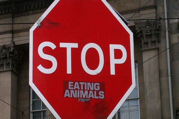 abolitionist-perspective vegan