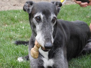 Merlin