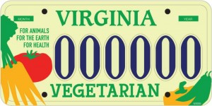 Virginia Liscense Plates