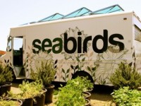 Truck at Tanaka Seabirds Truck