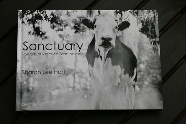 Sanctuary: Portraits of Rescued Farm Animals