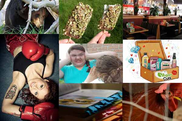 Weekly Roundup 6/30
