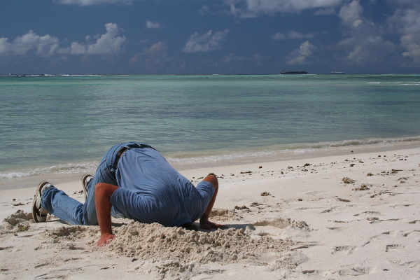 head in the sand