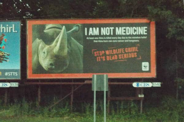 rhino billboard