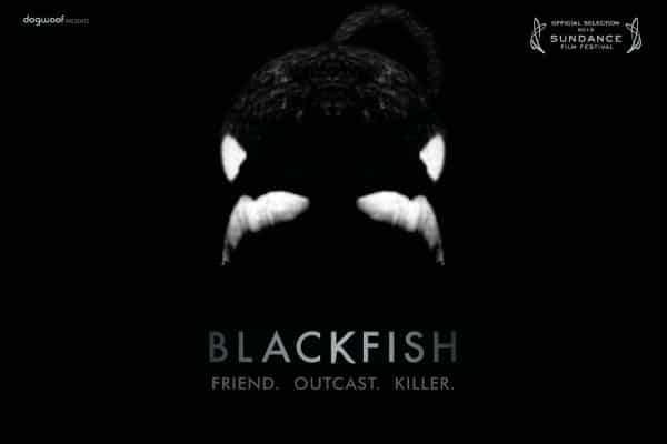 blackfish