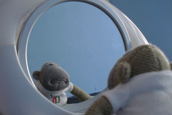 monkey mirror