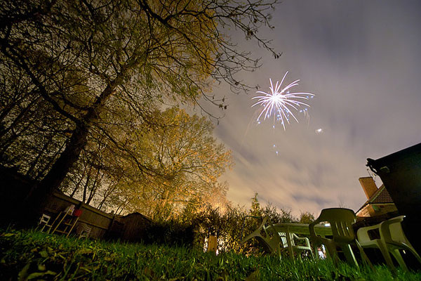 fireworks animals safety fireworks safety
