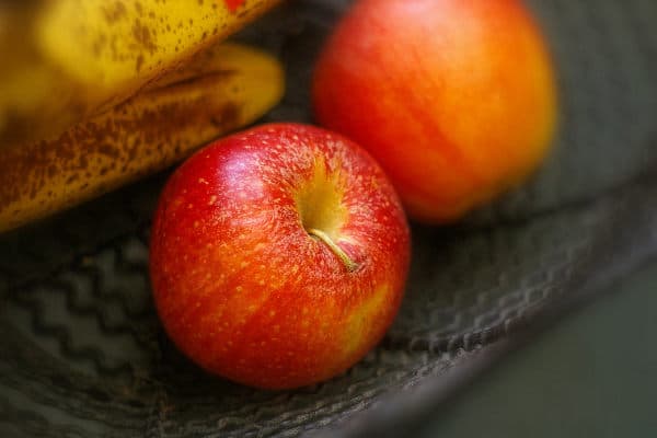vegan-recipes-not-needed