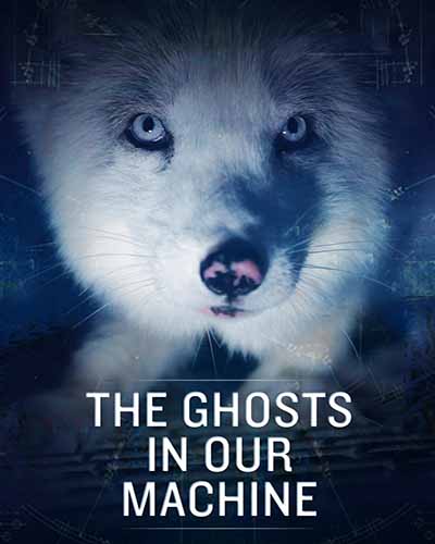 Cover for the film, The Ghosts in Our Machine, featuring a closeup of a white wolf.