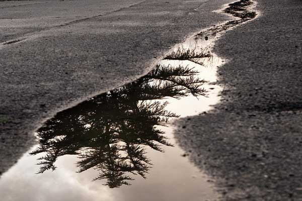 earth-day-1