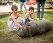 Two smiling children petting a rescued sanctuary pig laying in the grass.