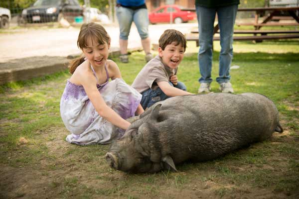 Two smiling children petting a rescued sanctuary pig laying in the grass.