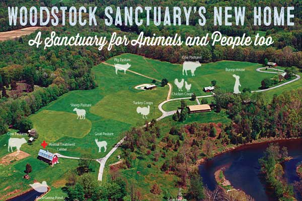 woodstock-sanctuary's-new-home
