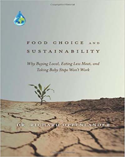 Cover for the book, Food Choice and Sustainability. Features a pictures of a dry desert with one lonely plant in the distance.