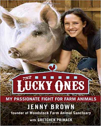 The cover for the book The Lucky Ones. Features a picture of a woman and a pig sitting in a barn-type setting.