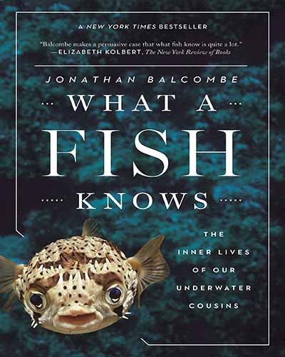 Cover for the book What a Fish Knows. Features a fish looking forward in an underwater scene.