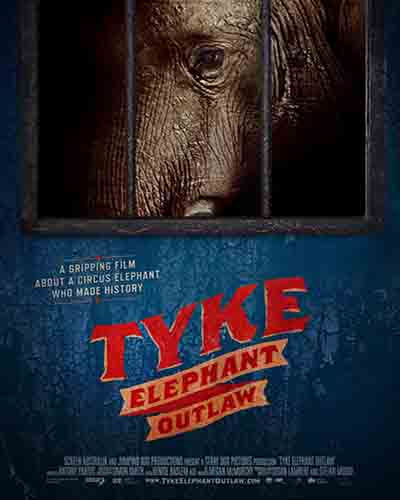 Cover for the film, Tyke Elephant Outlaw. Features a picture of an elephant behind bars staring out.