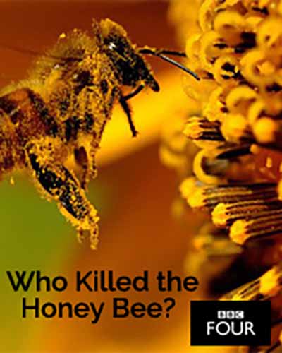 Cover for the TV series, Who Killed the Honey Bee? Features a closeup of a bee on a flower.