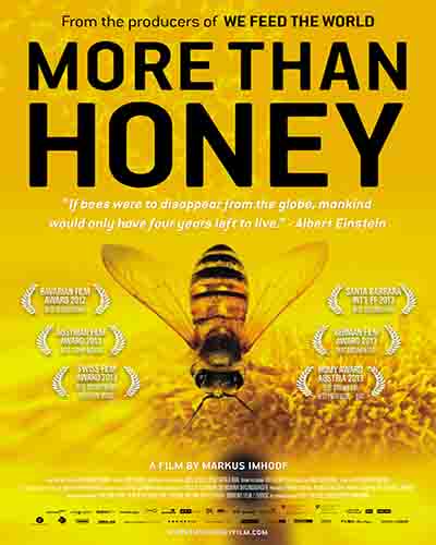 Cover for the film, More Than Honey. Features a closeup of a honey bee on a yellow flower.