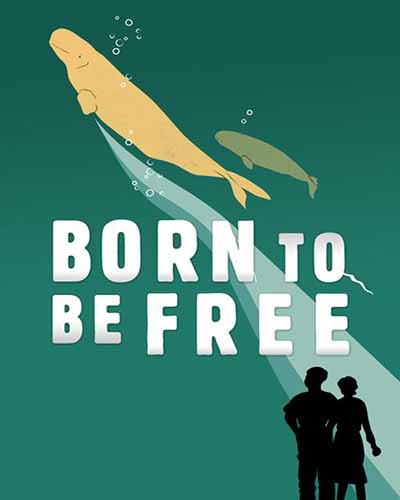 Cover for the film, Born to Be Free, featuring hand-drawn whales on a green background.