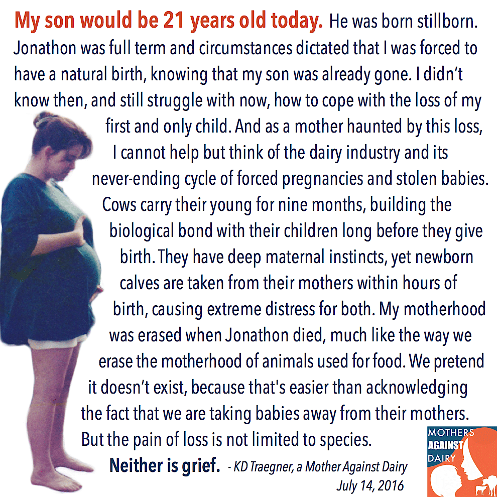 A young pregnant woman with the text, "My son would be 21 years old today. He was born stillborn. Jonathon was full term and circumstances meant that I was forced to have a natural birth, knowing my son was already gone. I didn't know then, and struggle with now, how to cope with the loss of my first and only child. And as a mother haunted by this loss, I cannot help but think of the dairy industryand its never-ending cycle of forced births and stolen babies. Cows carry their young for nine months, building the biological bond with their children long before they give birth. They have deep maternal instincts, yet newborn calvesare taken from their mothers within hours of birth, causing extreme distress for both. My motherhood was erased when Jonathon died, just like we erase the motherhood of animals used for food. We pretend it doesn't exist because that's easier than acknowledging the fact that we are taking babies from their mothers. But the pain of loss is not limited to species. Neither is grief." - KD Angle-Traegner.