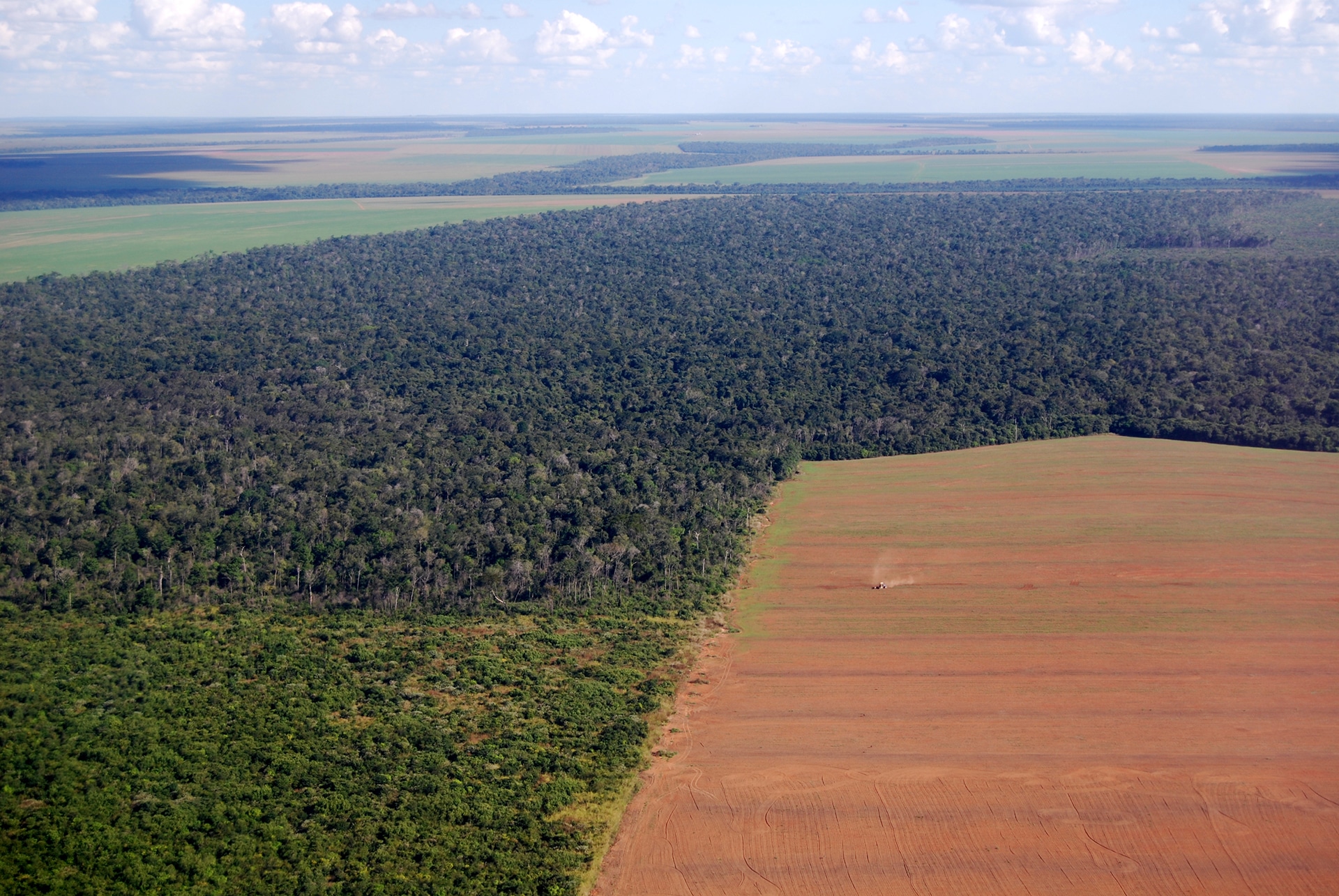 Amazon Deforestation - Veganism & the Environment - Your Daily Vegan