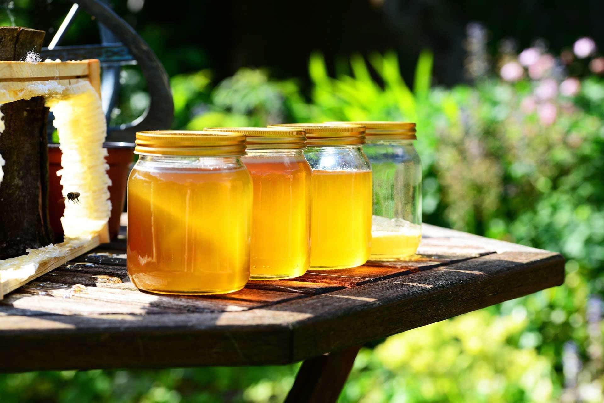 A picture of an outdoor picnic table on a sunny day with four jars of honey on it.