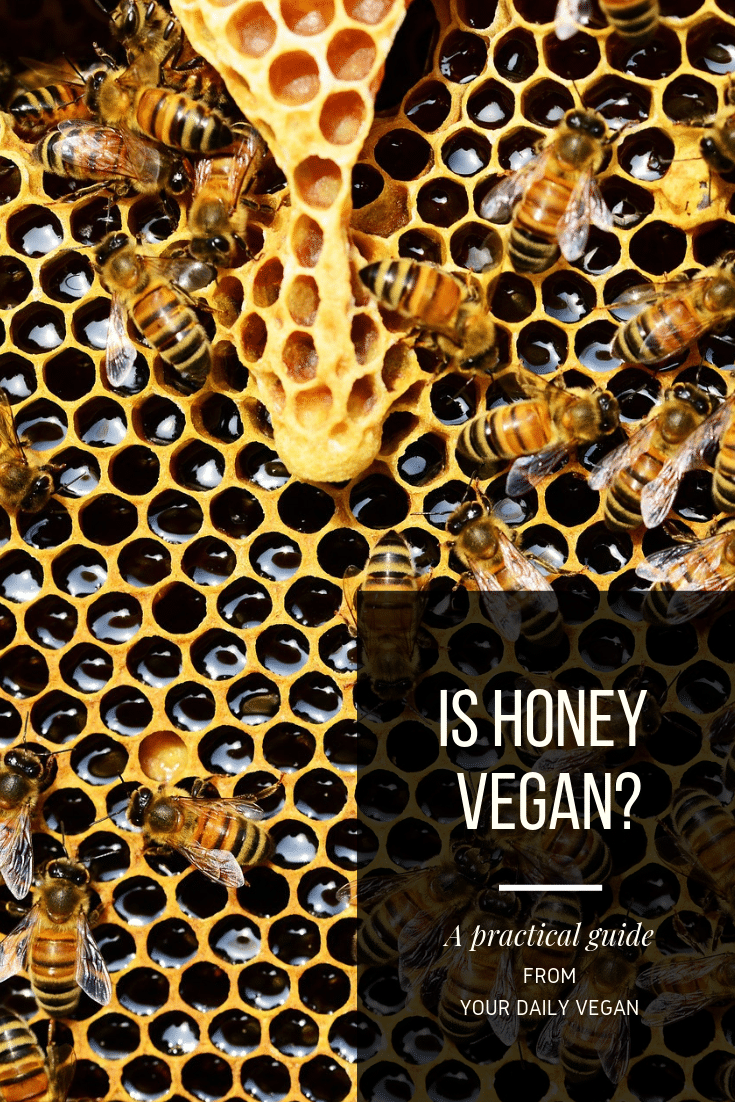 A pinterest image that features a honeycomb with bees in the background with a black box with white lettering that reads, "Is Honey Vegan? A practical guide from Your Daily Vegan."