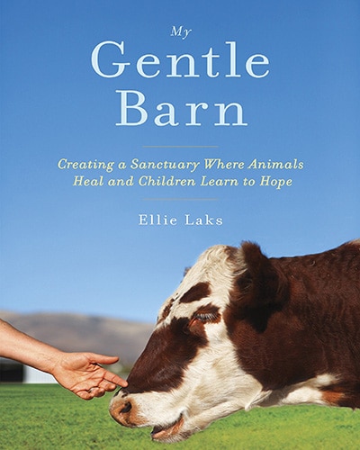 Cover of the book, My Gentle Barn. Features a brown and white cow standing in front of an outstretched human hand. Blue skies and green field in the background.