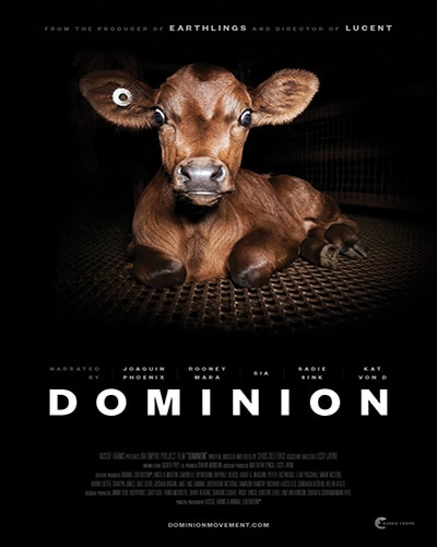 Cover for the film, Dominion. Features a black background with a picture of a young brown calf and words with white letters.