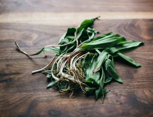 How to Forage, Store, and Cook Ramps